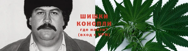 тгк Балахна