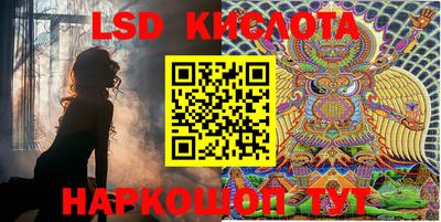 ГАЛЛЮЦИНОГЕННЫЕ ГРИБЫ Кулебаки