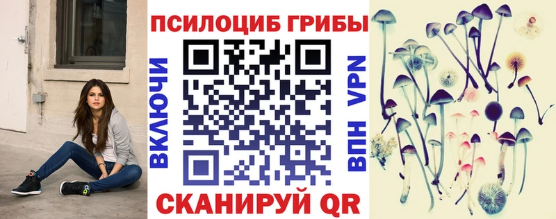 купить закладку  Долгопрудный  Псилоцибиновые грибы Psilocybine cubensis 