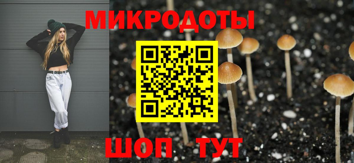 Псилоцибиновые грибы мицелий  Галлюциногенные грибы MAGIC MUSHROOMS  Вход с VPN  Долгопрудный 